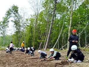 一列に並んで植栽を始める厚賀小学校生徒