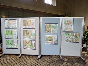 展示