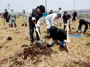 小学生による植樹の様子
