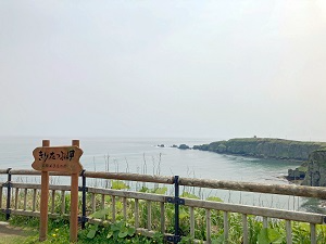 霧多布岬からの眺望