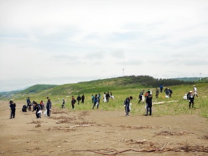 海岸林清掃の様子