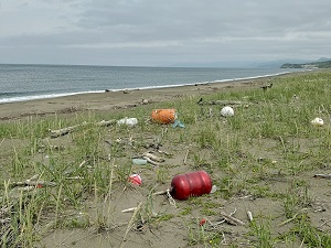 清掃前　大量のゴミが漂着し、気分も天気もどんより…