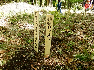 児童たちのメッセージ1