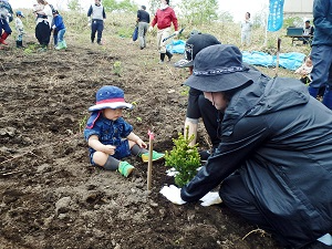 赤ちゃん植樹の様子
