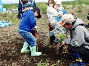 赤ちゃん植樹の様子