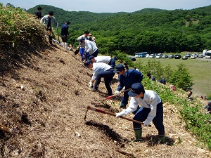 署職員による植樹