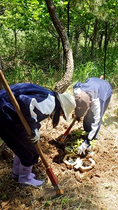 植樹の様子