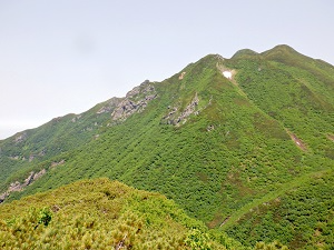 山