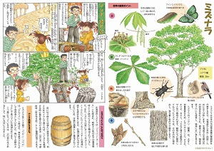パネル展示（北海道の木のえほんシリーズ）