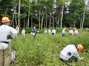 プロットAを見学する参加者と植栽木