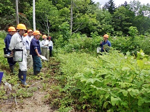 プロットBを見学する参加者