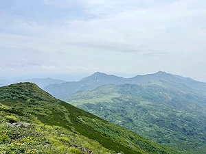 山頂からの景色