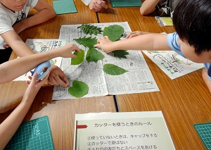 一番好きな葉っぱを指さす子どもたち