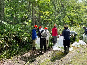 駆除作業の様子