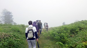 午後の白湯山自然探勝路の様子