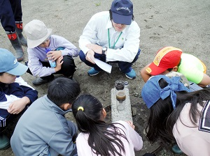 水の浸透の様子を観察。グラウンドの土（手前）にはなかなか水がしみこみません。
