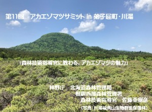森林技術指導官から教わる、アカエゾマツの魅力