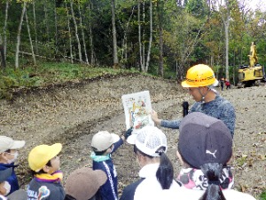 ハーベスタでの伐倒