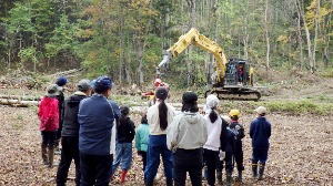 玉切りと枝払いをされている様子