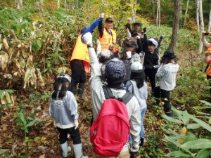 あみだクラッシュとは？