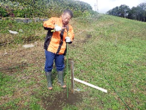 食害防止シェルターの支柱を立てる当署藪署長