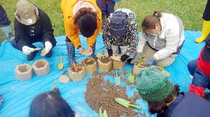 カミネッコンに苗を入れている様子