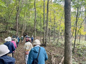 コース内の雰囲気