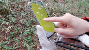 現場_位置情報ソフトの操作画面（＊現在位置と調査対象木を表示させて調査）