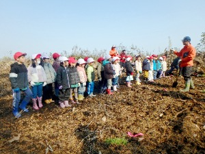 職員がカラマツの苗木の植え方