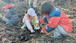 職員と園児が植樹