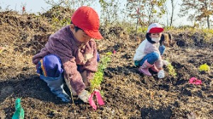 園児達の植樹