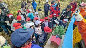 格子状防風林や国有林の説明