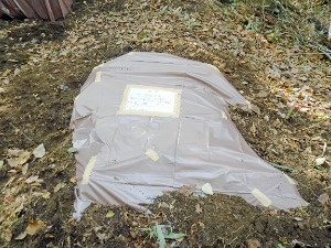 樹幹部同様の処理をして完成