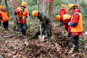 シートを埋めるための溝掘り