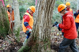 ドリルで薬剤注入孔をあける（最低でも地上高約150cmまでは孔(あな)をあける）