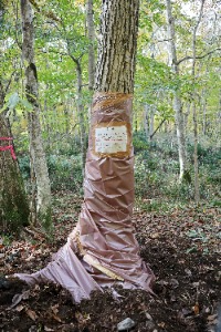 隙間を埋めて完成