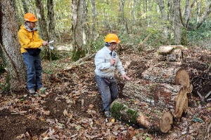 ナラ枯れ被害木処理方法の説明（森林総合研究所北海道支所職員）