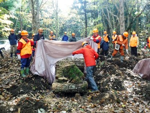 薬剤の散布作業