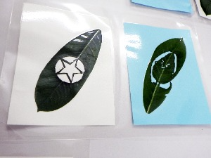 完成したリーフアート