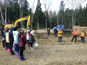 集材土場で概要の説明