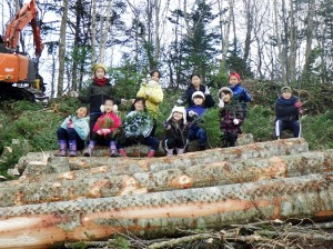 トドマツの枝葉を持って写真撮影