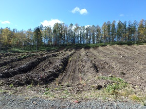 平成30年の地拵・植付直後　
