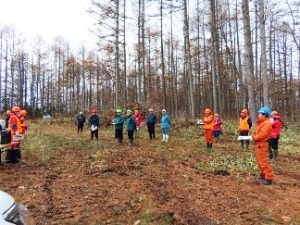 大型機械地拵の現地検討会を開催