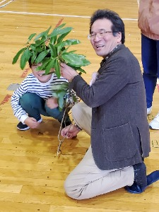 エゾユズリハと背比べ