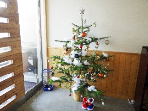 綺麗に飾り付けられたクリスマスツリー