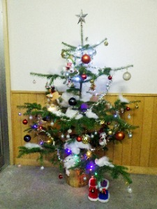 夕方になりライトアップされたクリスマスツリー