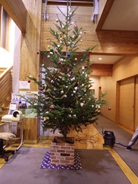 THEクリスマスツリー完成