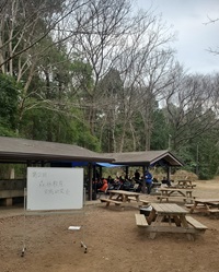 野性の森の様子