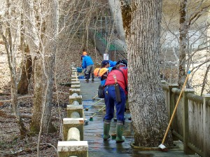 ポロト自然休養林にある植物観察用浮橋の清掃
