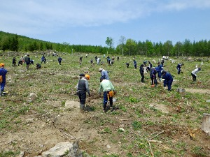 植樹祭の様子